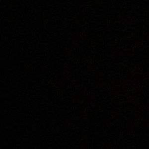 Meet your Posher, Danko